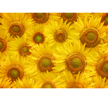 Zonnebloemen Fotobehang woonkamer - TenStickers