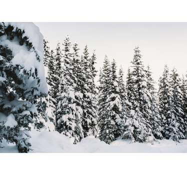 Fotobehang natuur sneeuwbedekte dennen - TenStickers