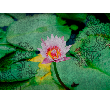Fotobehang klaprozen lotus bloem elegantie - TenStickers