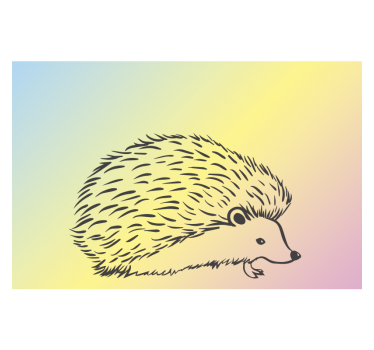 Egel ontwerp foto behang dieren - TenStickers