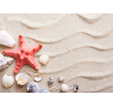 Zeesterren en schelpen fotobehang zee - TenStickers