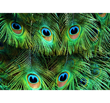 Foto behang dieren prachtige pauwenveer patroon - TenStickers