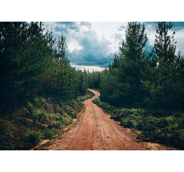 Fototapet landschap winding nature path - TenStickers