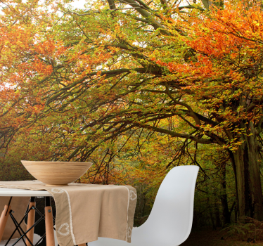 Behang bos herfstbos uitzicht - TenStickers