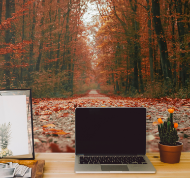 Behang bos herfstpad route - TenStickers