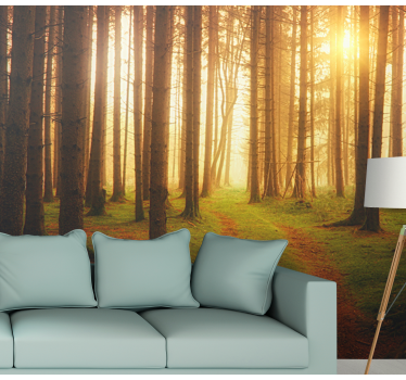 Behang bos woodland trail uitzicht - TenStickers
