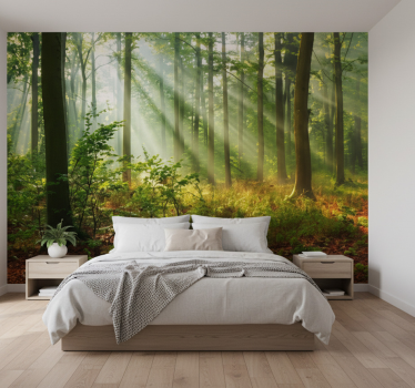 Behang bos zonnige ochtendboomgaard - TenStickers