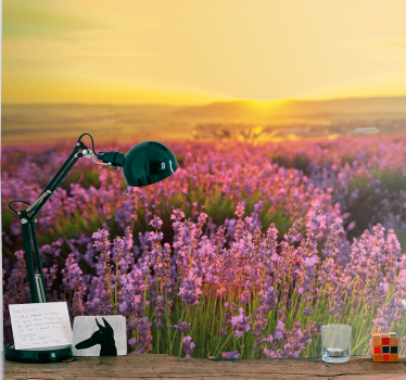 Bloemen foto behang lavendelweide dusk - TenStickers
