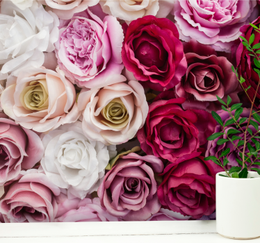 Bloemen foto behang mooie rozen collectie - TenStickers