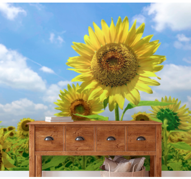 Bloemen foto behang zonnebloemveld scène - TenStickers