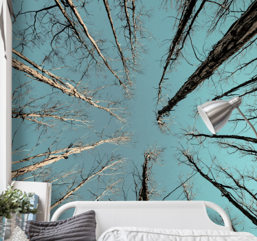 Foto behang bomen die de lucht raken - TenStickers