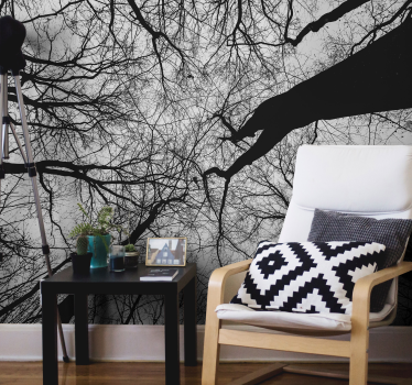 Foto behang bomen samengestrengelde takken silhouetten - TenStickers