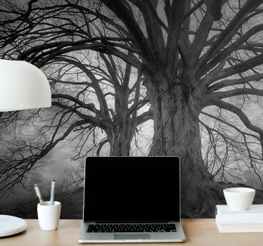 Foto behang bos majestueuze bladloze bomen - TenStickers