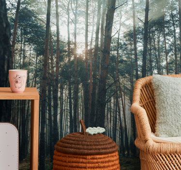 Foto behang bos serene dennenbos - TenStickers