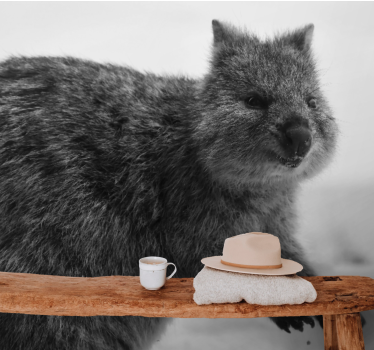 Foto behang dieren close-up wombat gezicht - TenStickers