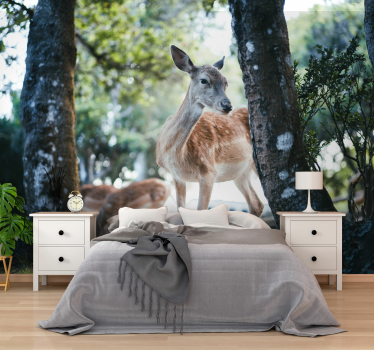 Foto behang dieren elegante herten ontmoeting - TenStickers