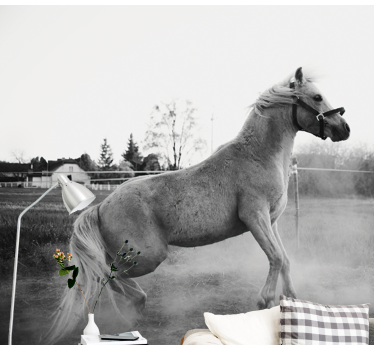 Foto behang dieren galopperend pony - TenStickers
