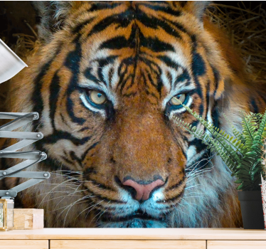 Foto behang dieren koning tijger illustratie - TenStickers