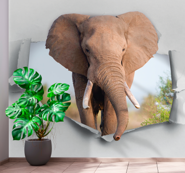 Foto behang dieren majestueus olifantenportret - TenStickers