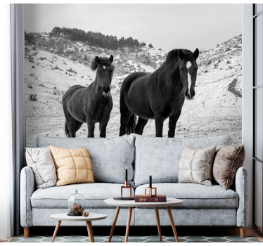 Foto behang dieren majestueuze zwarte paarden - TenStickers