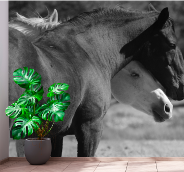 Foto behang dieren paarden vriendschap - TenStickers