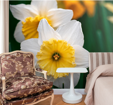 Fotobehang klaprozen elegantie van bloeiende narcissen - TenStickers