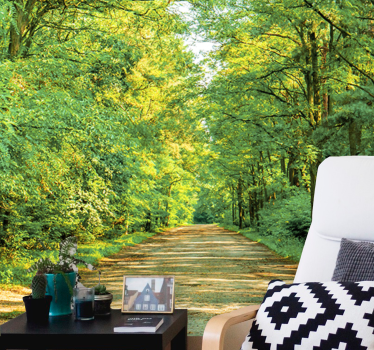 Fotobehang natuur Groen bos op een zonnige dag - TenStickers