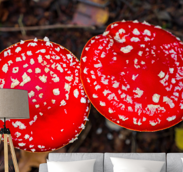 Fotobehang natuur rode paddestoelen hoedjes - TenStickers