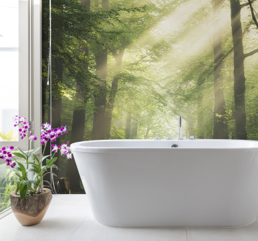 Fotobehang natuur stralend boslandschap - TenStickers