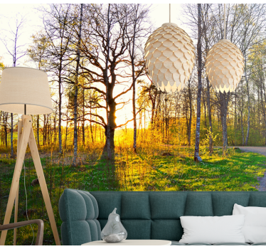 Fotobehang natuur zonovergoten bospaadje - TenStickers
