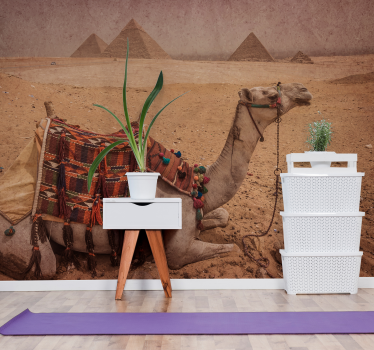 Woestijn fotobehang Kameel voor een piramide - TenStickers