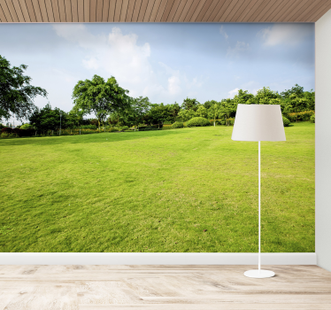 Groen weidepanorama fotobehang natuur - TenStickers