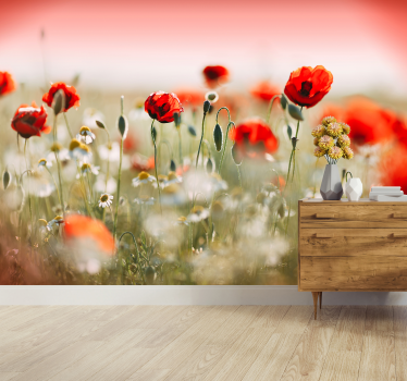 Klaproos veld wallpaper foto - TenStickers