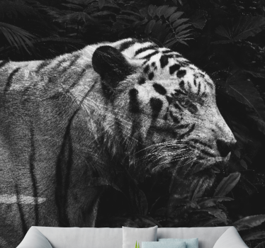 Majestueuze witte tijger foto behang dieren - TenStickers