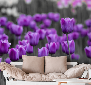 Paarse tulp bloeit fotobehang paardenbloem - TenStickers