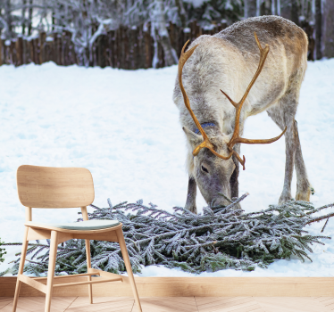 Rendieren in de sneeuw foto behang dieren - TenStickers