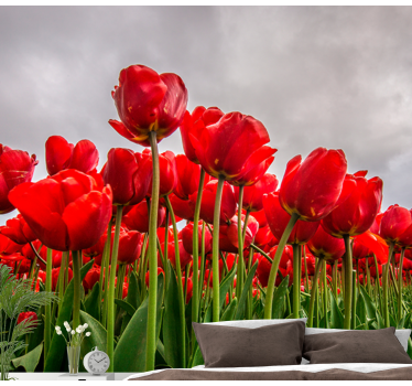 Rood tulpenveld fotobehang klaprozen - TenStickers