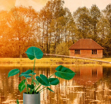 Rustig uitzicht op het meer fototapet landschap - TenStickers