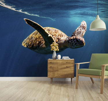 Schildpad onderwater fotobehang behang - TenStickers