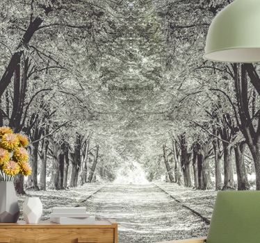 Sereen boompad fotobehang natuur - TenStickers