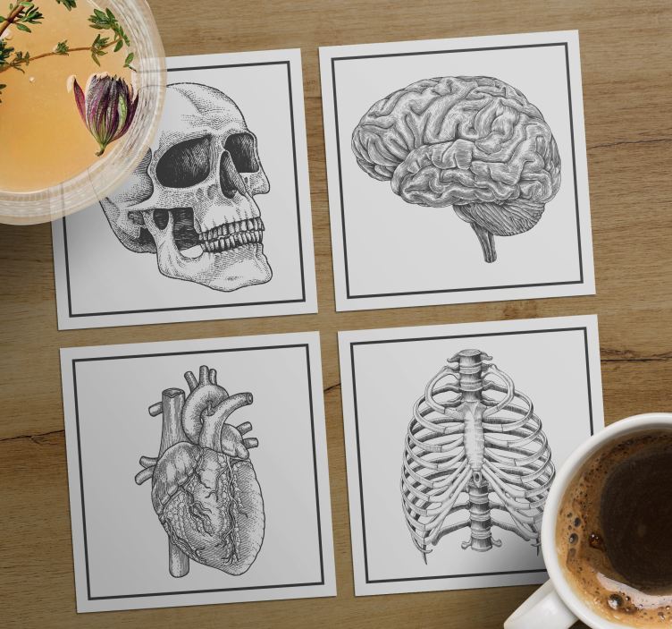 Enge onderzetters anatomisch schedel brein hart skelet - TenStickers