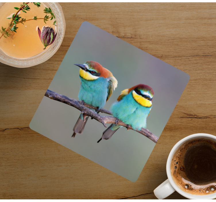 Moderne onderzetters kleurige vogels op een tak - TenStickers