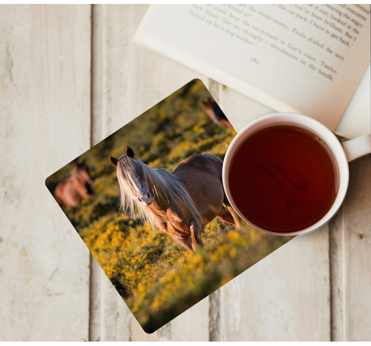 Moderne onderzetters majestueus paard in veld - TenStickers