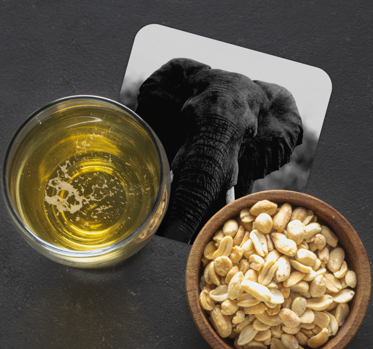 Vintage onderzetters monochrome olifantenportretten - TenStickers