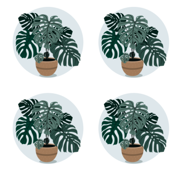 Moderne onderzetters monstera plant illustratie - TenStickers