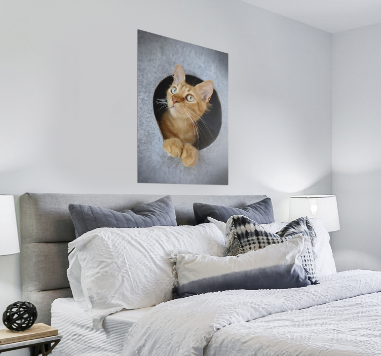 Poster kat kijkend uit gat - TenStickers