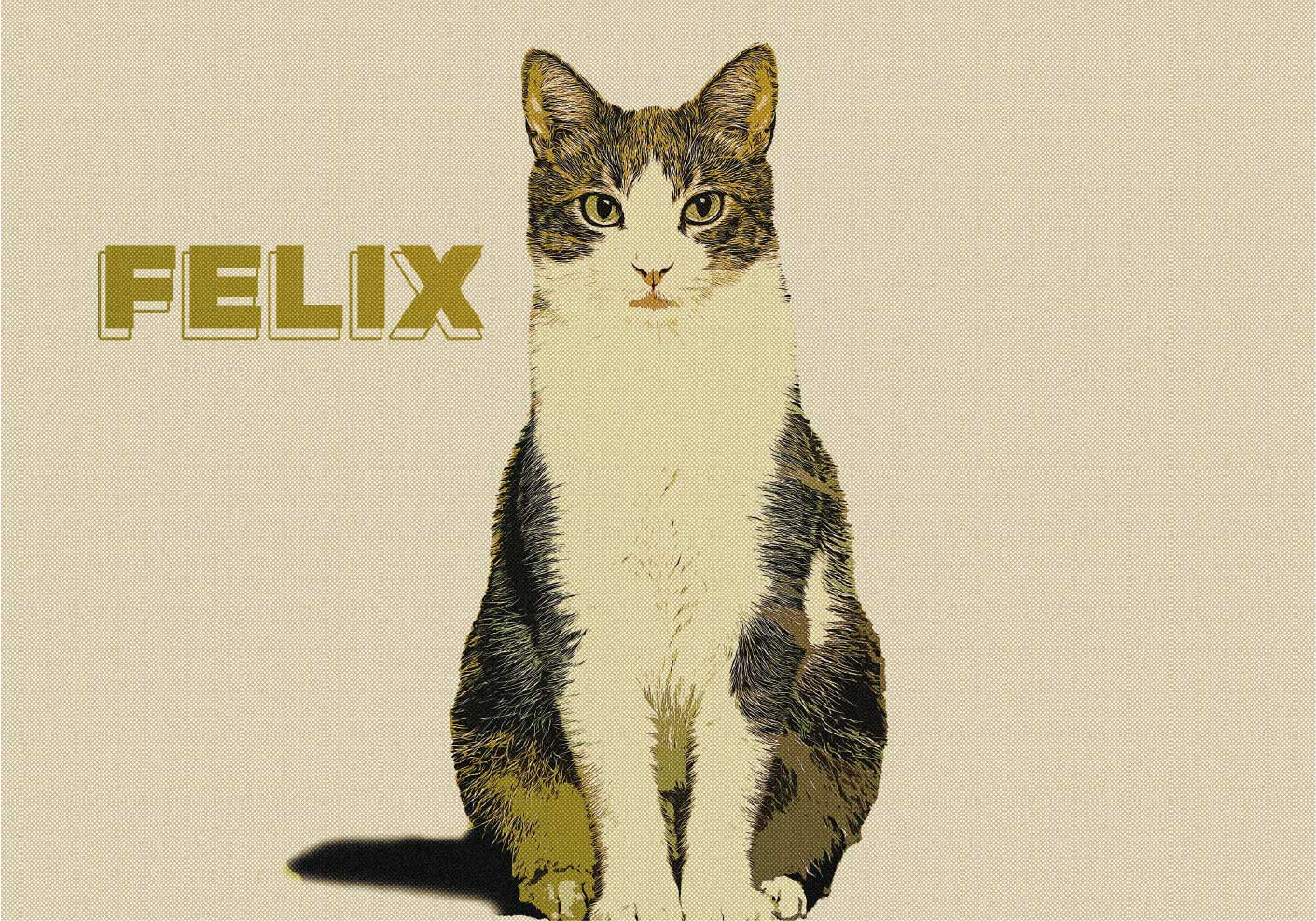 Gepersonaliseerde illustratie halve toon dieren poster - TenStickers