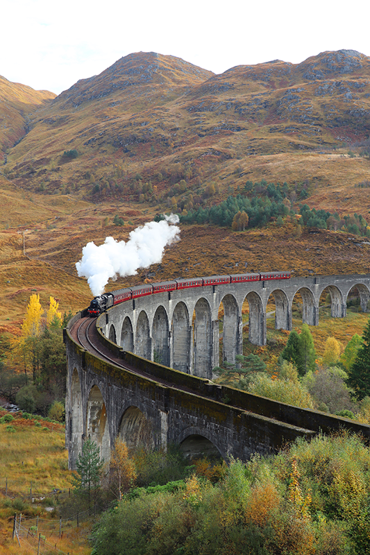 Rijdende trein realistische fotoposter - TenStickers