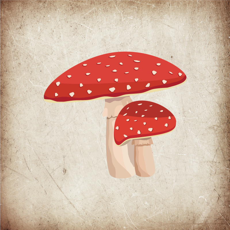 Poster keuken amanita paddenstoel illustratie - TenStickers