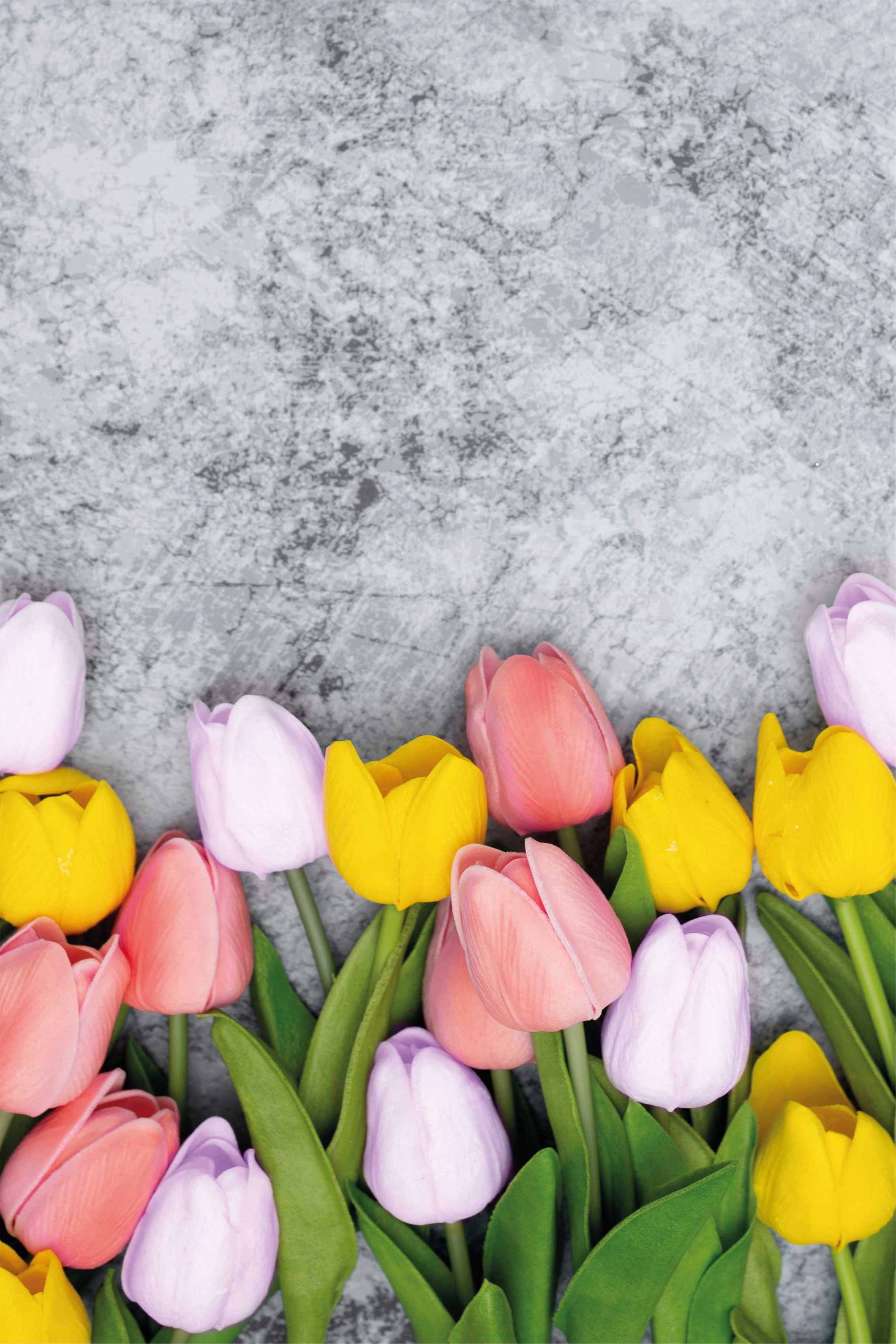 Poster keuken vergelijkbare tulpen bloemen - TenStickers